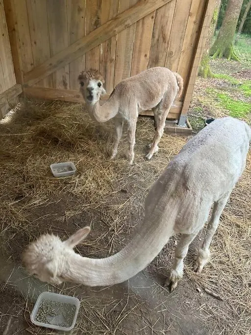 Villa Kaliazo - Riverfront Alpaca Experience Arnaud-Guilhem 0*,  Francie
