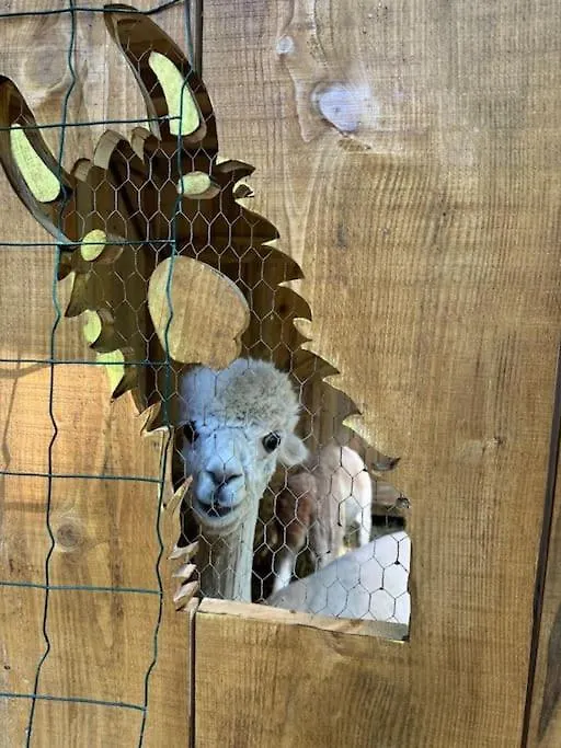 Villa Kaliazo - Riverfront Alpaca Experience Arnaud-Guilhem 0*,  Francie